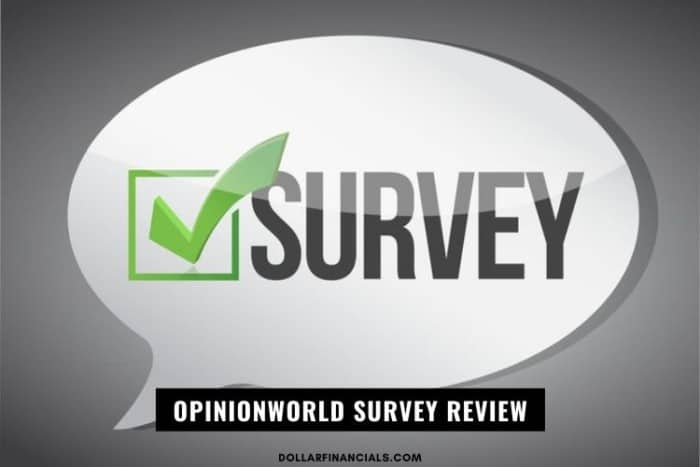 OpinionWorld Survey Review