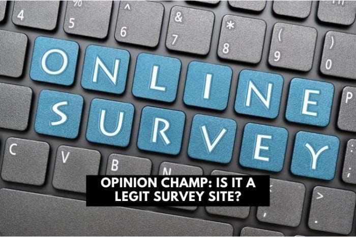 opinion champ - legit survey site