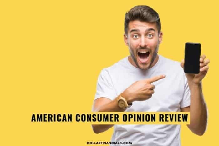 american consumer opinion review