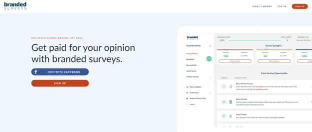image showing branded surveys website homepage