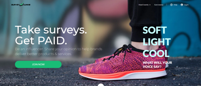 image showing survey junkie website homepage